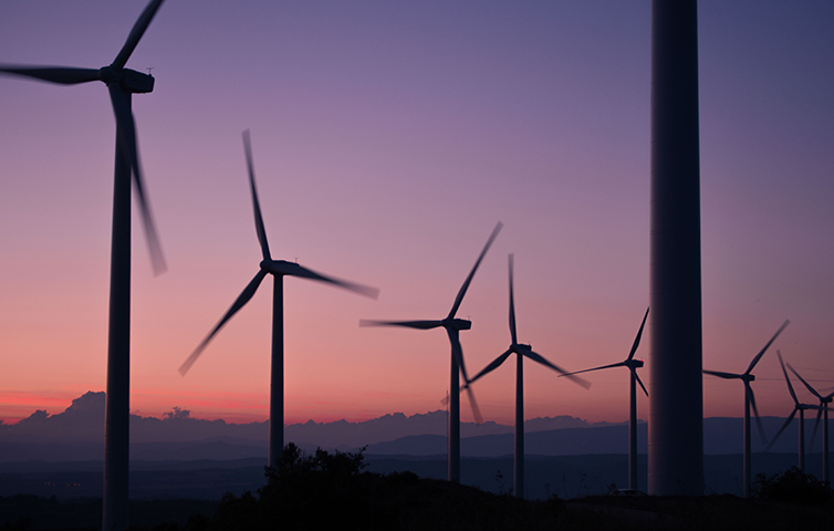 Canva - 日落時的風力渦輪機 wind turbines at sunset.jpg
